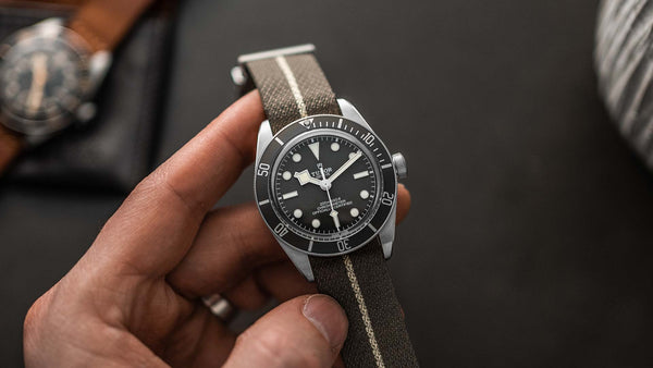 Hands on Tudor Black Bay 58 925 Silver Bark Jack